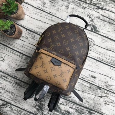 Copy Louis Vuitton Monogram Canvas PALM SPRINGS BACKPACK MM M43116 GL03381