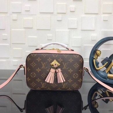 Louis Vuitton Monogram Canvas original Leather SAINTINGE N40154 pink GL02277