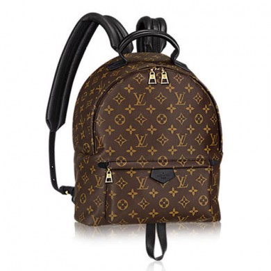 Louis Vuitton Monogram Canvas Palm Springs Backpack MM M41561 GL03385