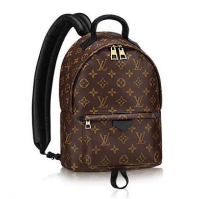 Replica Louis Vuitton Monogram Canvas Palm Springs Backpack PM M41560 GL00171