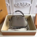 Imitation Louis vuitton original CAPUCINES MINI N94047 grey GL03549