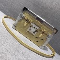 Louis Vuitton Petite Malle 40273 gold GL04406