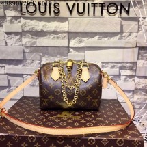 Louis Vuitton MONOGRAM Canvas SPEEDY 20 Bag 48890 GL01969