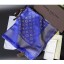 Imitation Louis Vuitton Scarf LV0034 blue GL02644