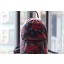 Louis Vuitton backpack M41980 red GL02176