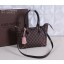 Louis Vuitton Damier Ebene Canvas Caissa Tote Bag PM M41548 GL01736