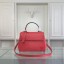 Louis Vuitton Epi Leather Mini Bag 41305 Red GL03971