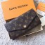 Louis Vuitton SARAH Monogram Canvas Wallet 60351 brown GL00724