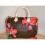 Replica Louis Vuitton Stephen Sprouse Collection Speedy 30 Roses M48610 GL04454